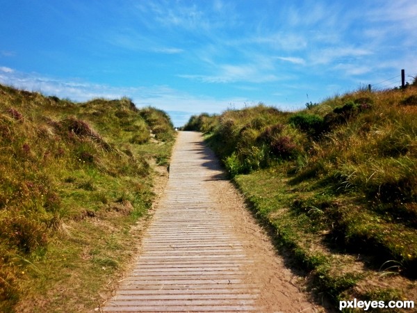 The Wooden Path