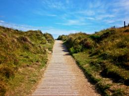 The Wooden Path