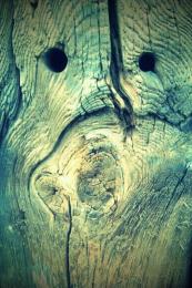 woodface