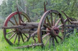 Wooden wagon