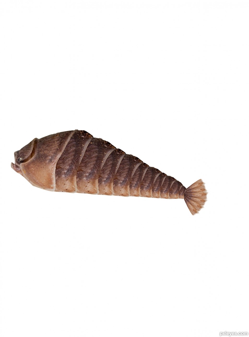 Creation of under water: Step 4