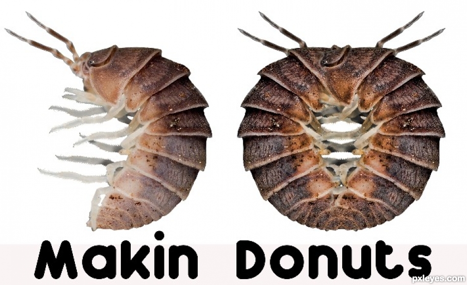 Creation of The Donuts They Serve in Hell: Step 1