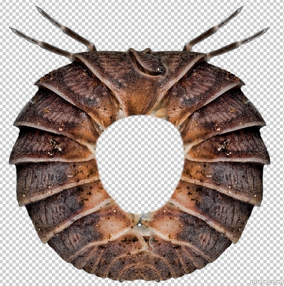 Creation of The Donuts They Serve in Hell: Step 2