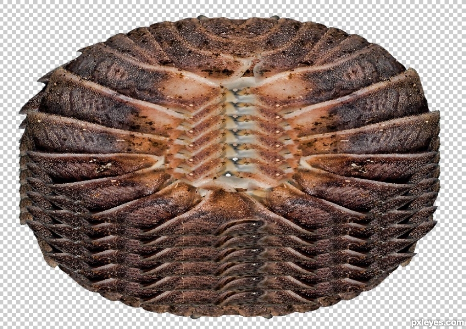 Creation of The Donuts They Serve in Hell: Step 4