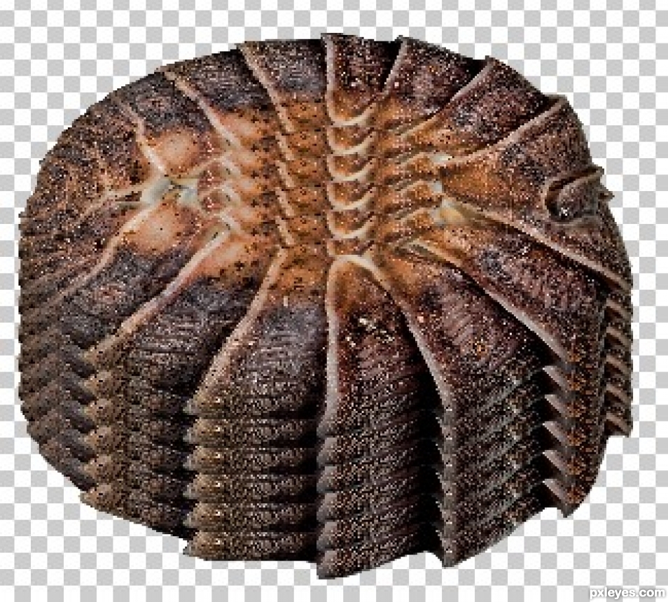 Creation of The Donuts They Serve in Hell: Step 5