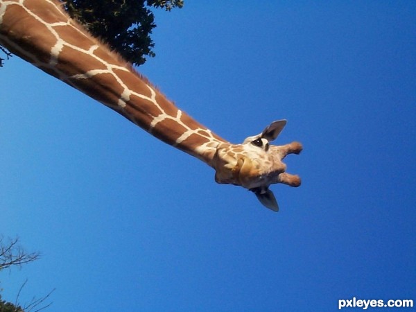 Creation of Neck: Step 2