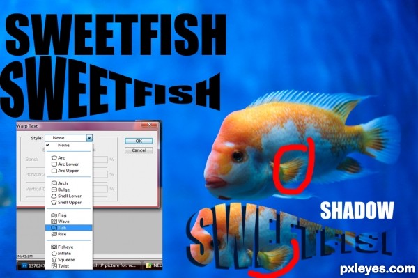 Creation of fish :P: Step 1