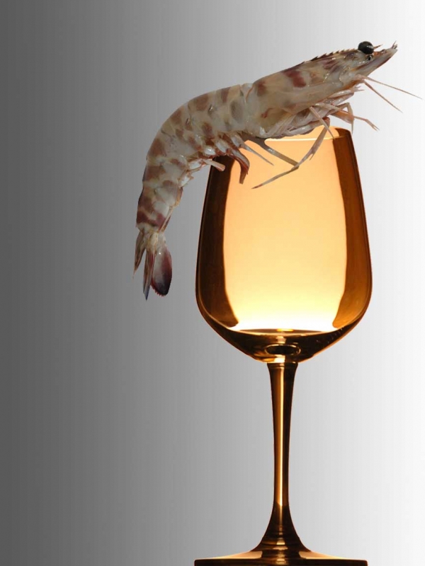 Creation of Shrimp cocktail: Step 4