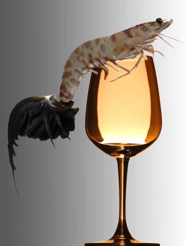 Creation of Shrimp cocktail: Step 5