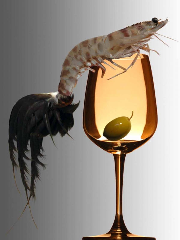 Creation of Shrimp cocktail: Step 7