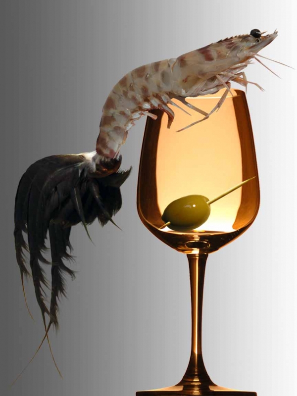 Creation of Shrimp cocktail: Step 8