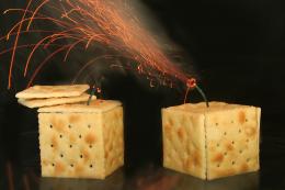 Firecrackers