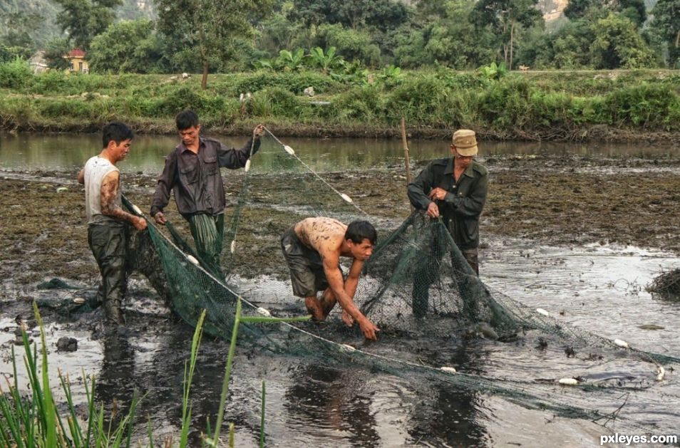 Draining the Pond