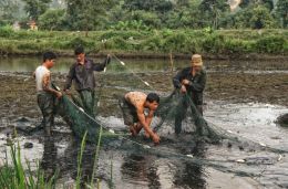 Draining the Pond