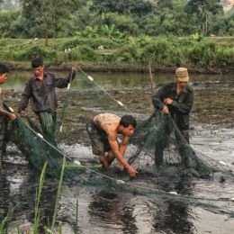 DrainingthePond