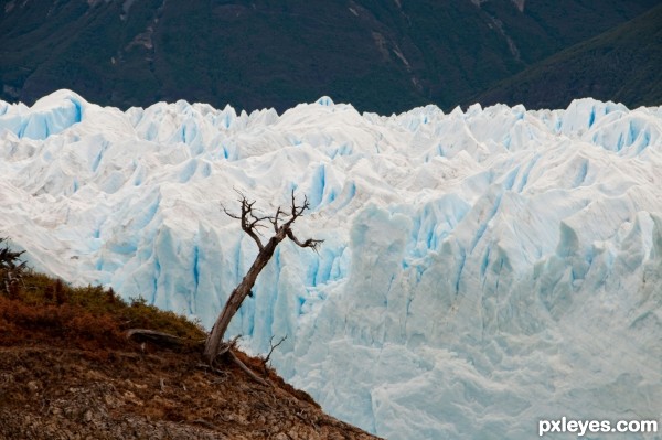 Los Glaciares