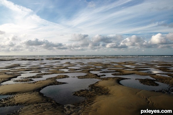 Wadden Sea 