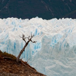 LosGlaciares