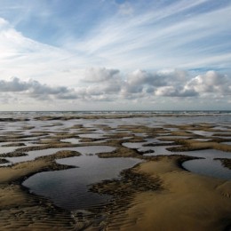 Wadden Sea 