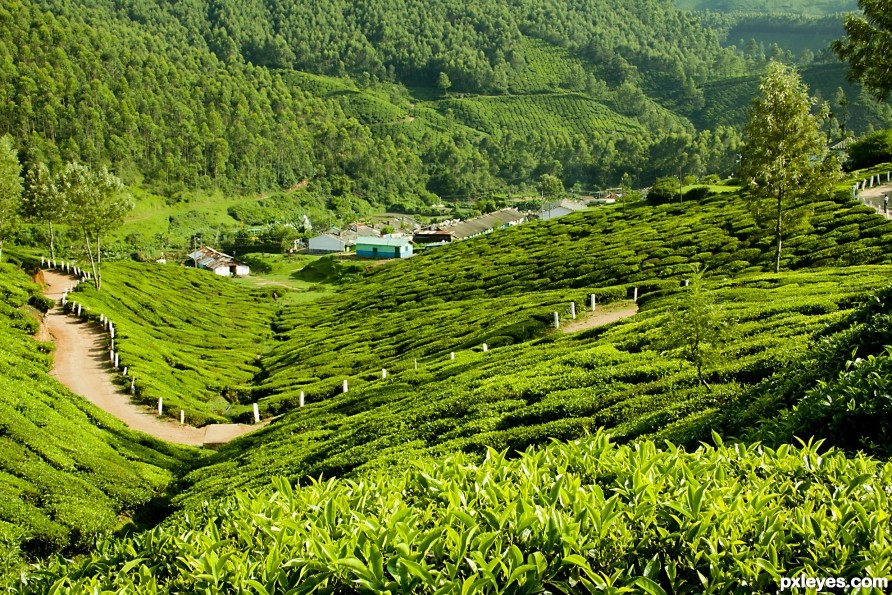 Munnar- Hamlet in Kerala