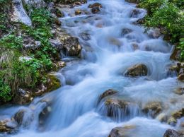 Nature in Slovenia