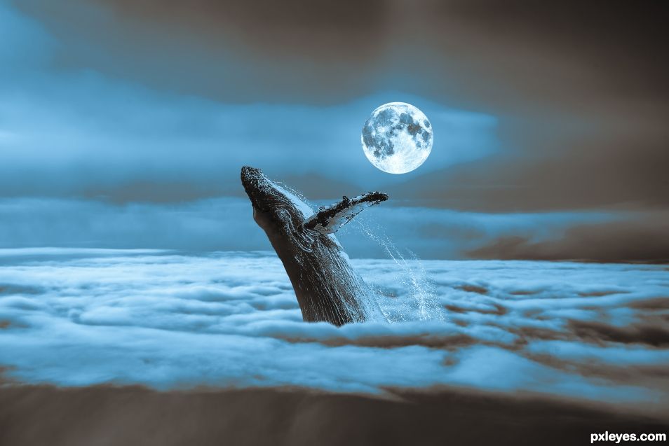 moonlit whale