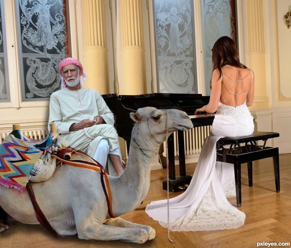 Piano Concerto For A Sad Camel 