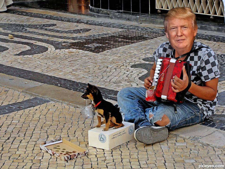 Donald the Beggar