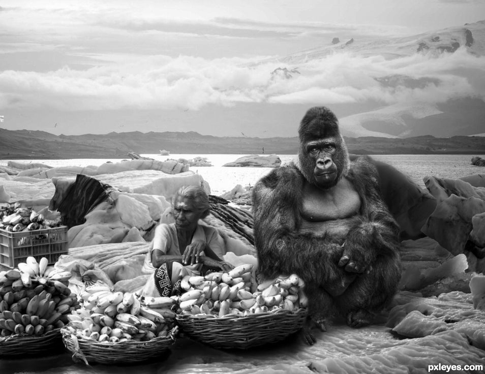 Bananas Vendors