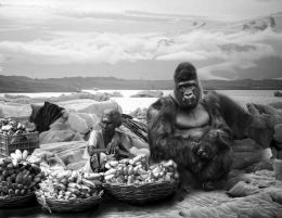 Bananas Vendors