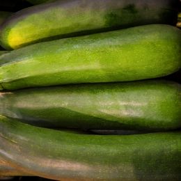 Zucchini