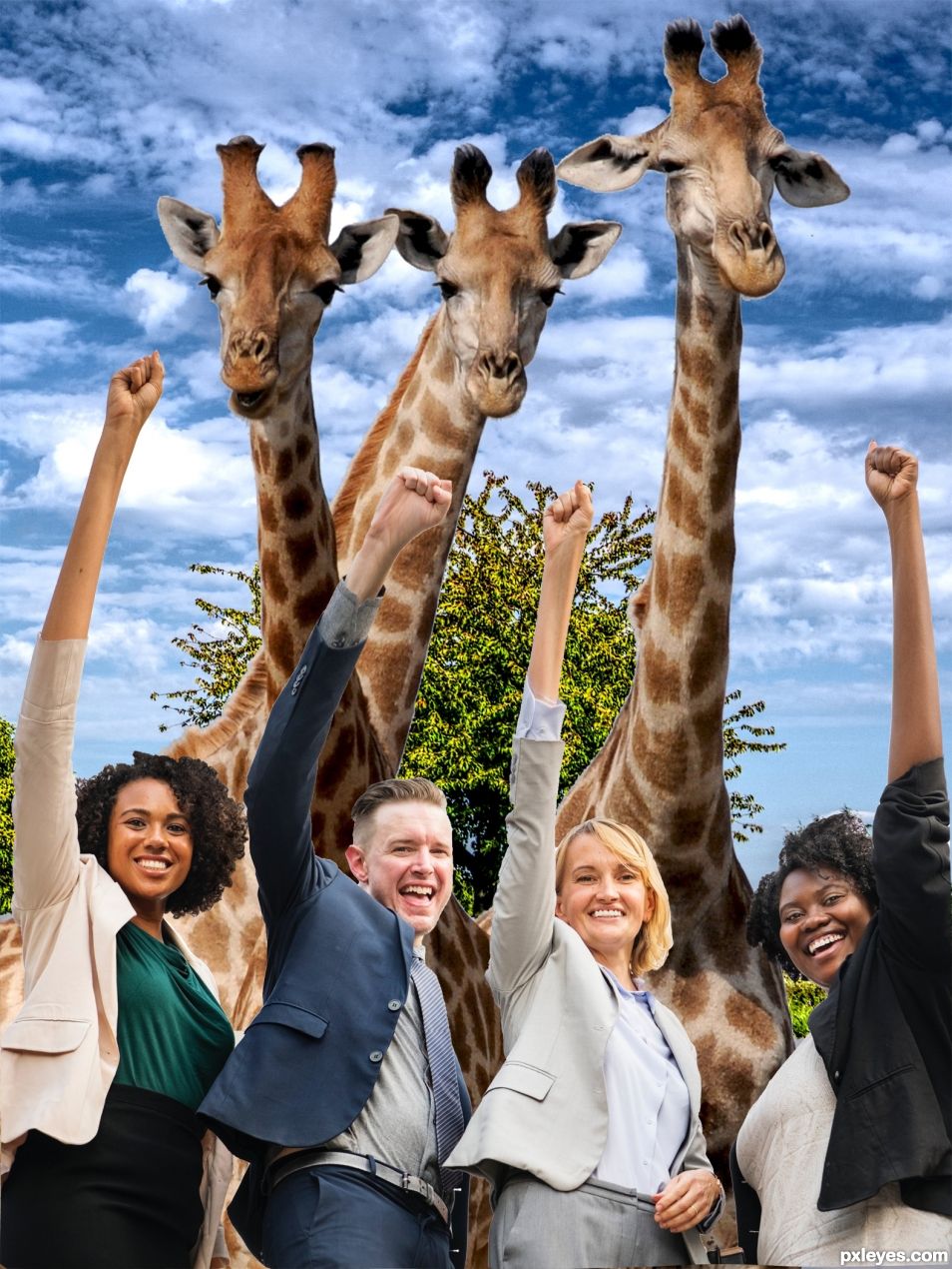 The Giraffe Group