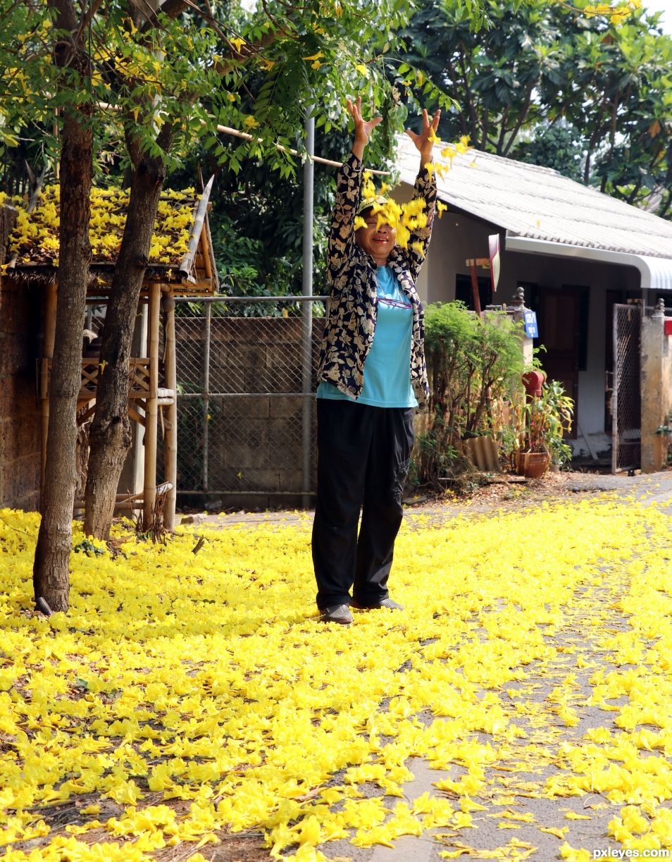 Yellow petals