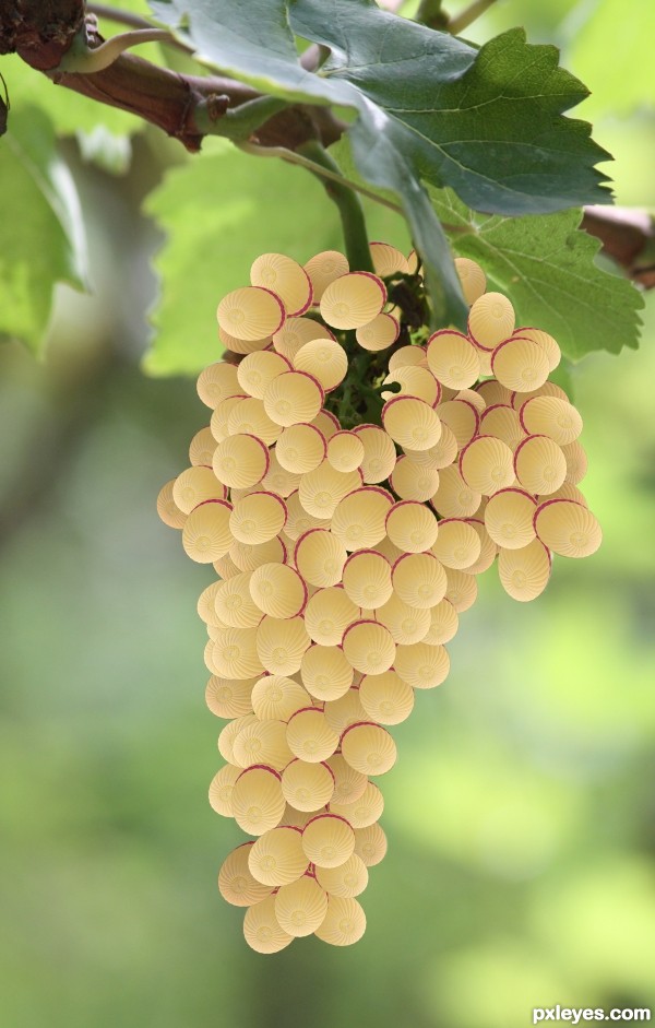 I like grape-balloons !