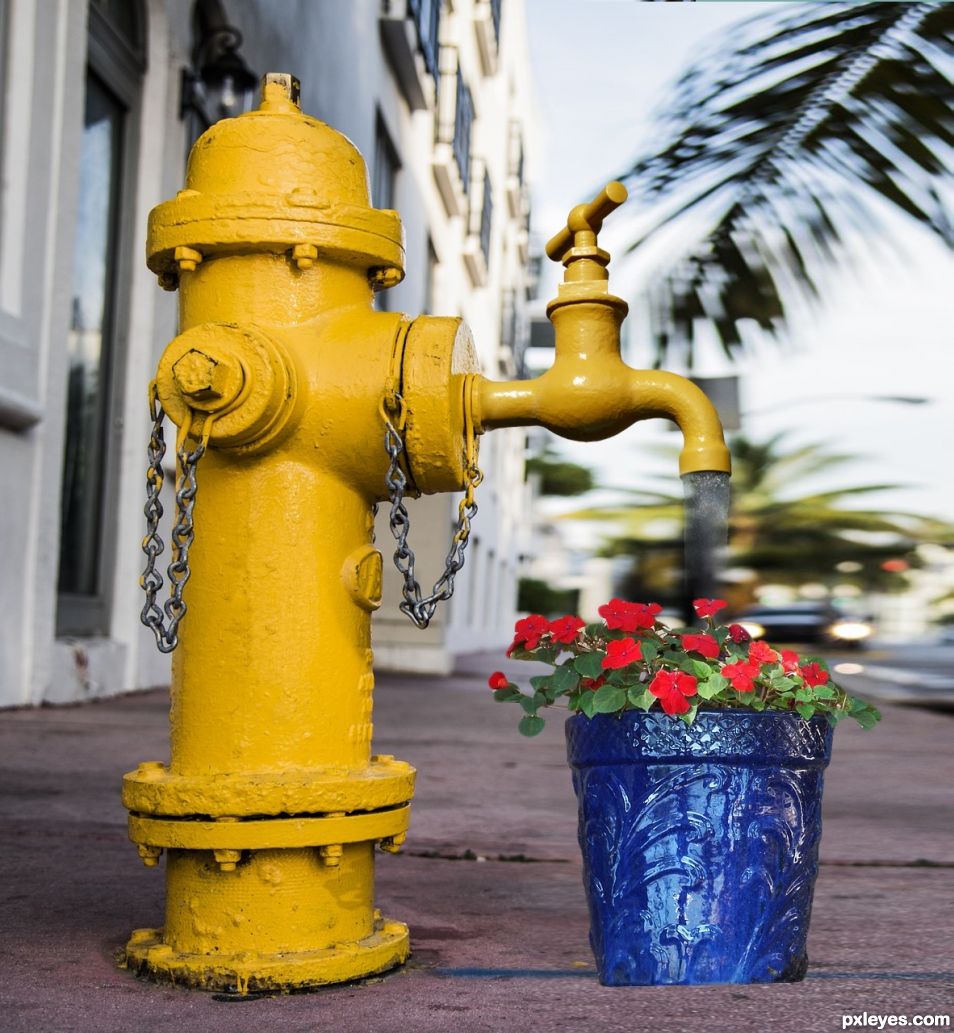 This plants watering works too