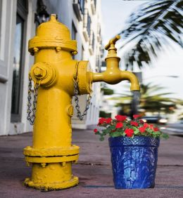 This plants watering works too