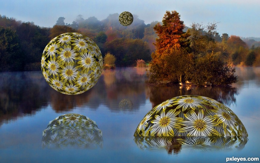 Floating Daisy Balls photoshop picture)