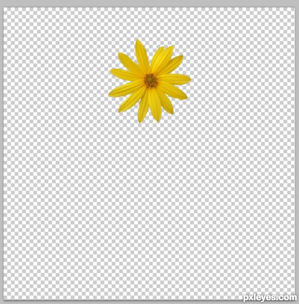 Creation of Fighting Flowers: Step 1