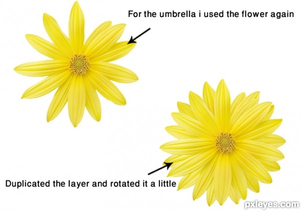 Creation of Princess of Petals: Step 7