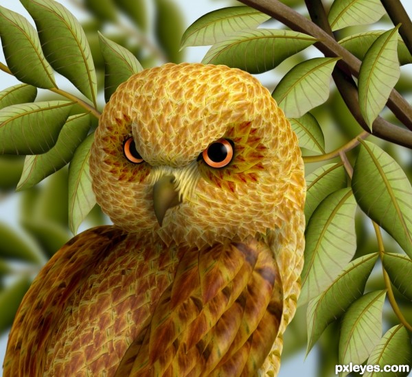 Creation of Golden Headed Owl: Final Result