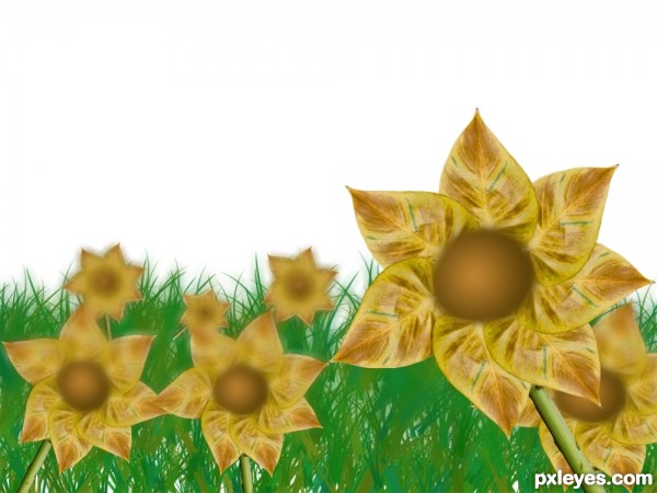 Creation of field: Step 8