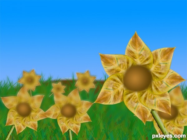 Creation of field: Step 10