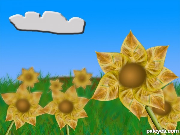 Creation of field: Step 11