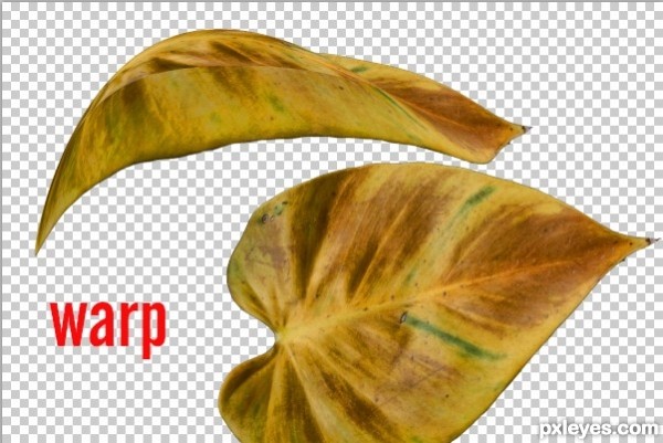 Creation of Ally of the Thergerim: Step 16