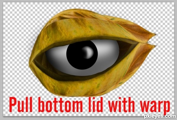 Creation of Ally of the Thergerim: Step 21