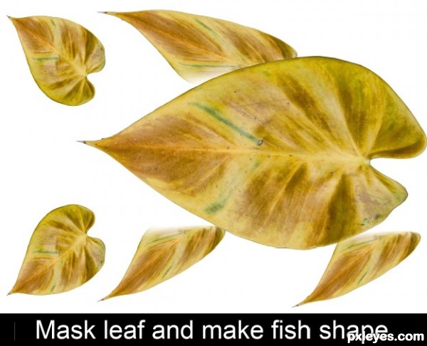 Creation of Fish Above Trees: Step 1