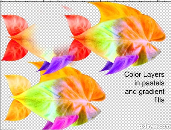 Creation of Fish Above Trees: Step 3