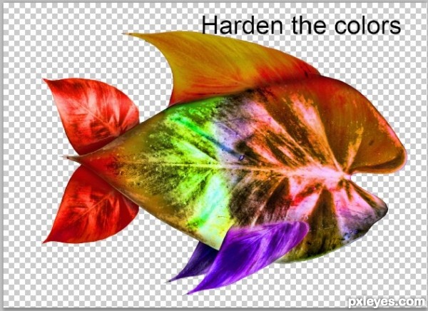 Creation of Fish Above Trees: Step 4