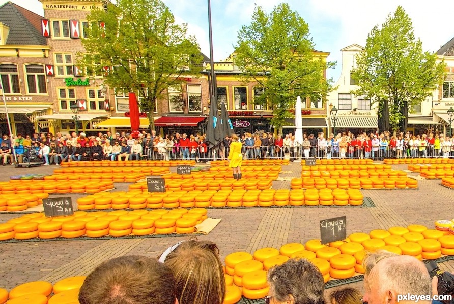 Cheese Festival Haarlem Netherlands