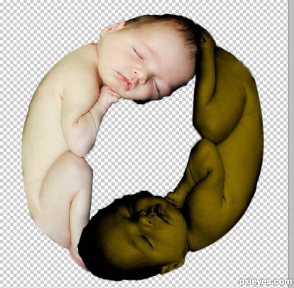 Creation of Potential Y&Y: Step 3
